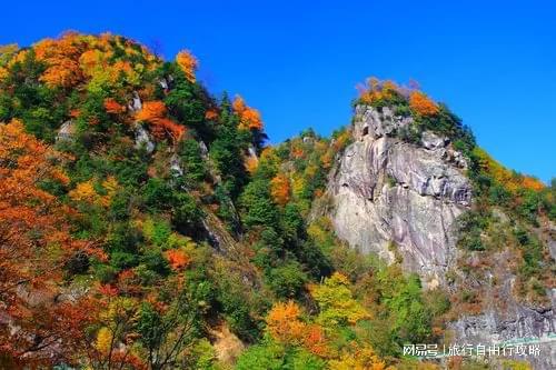 大概多少开销旅游出行带走这篇j9国际第一次来四川旅游三天